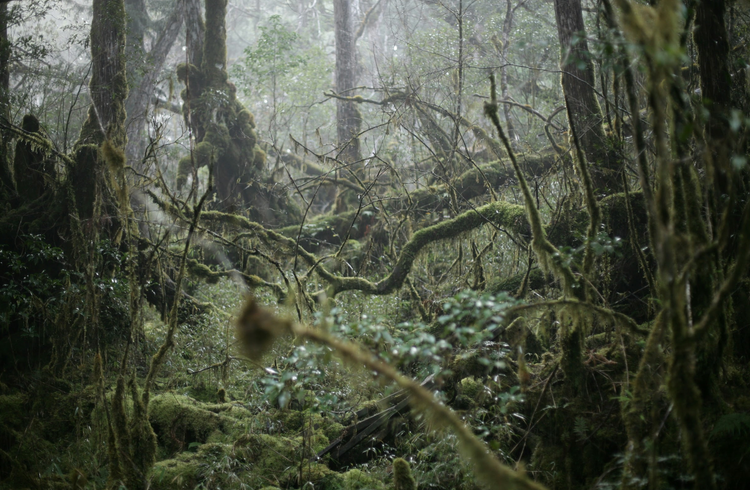 What do you need to be a writer?